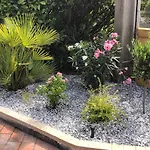 Marguerite Bed and Breakfast Coutras