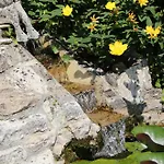 Marguerite Bed and Breakfast Coutras